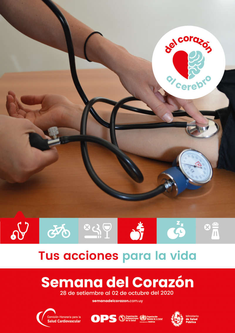 Folletos Y Afiches Comisión Honoraria Para La Salud Cardiovascular 4486