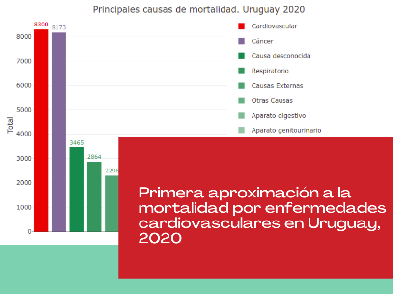 Primera aproximación a la mortalidad por enfermedades cardiovasculares en Uruguay 2020